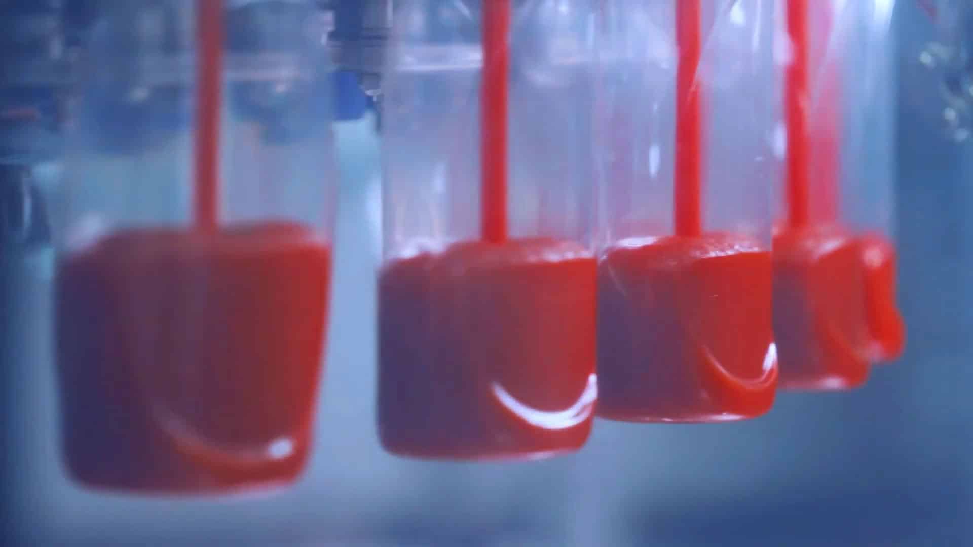 CFT - Ketchup - Editing video - Video realizzato per promuovere la catena di montaggio CFT di produzione ed imballaggio del ketchup. Anno di produzione: 2022