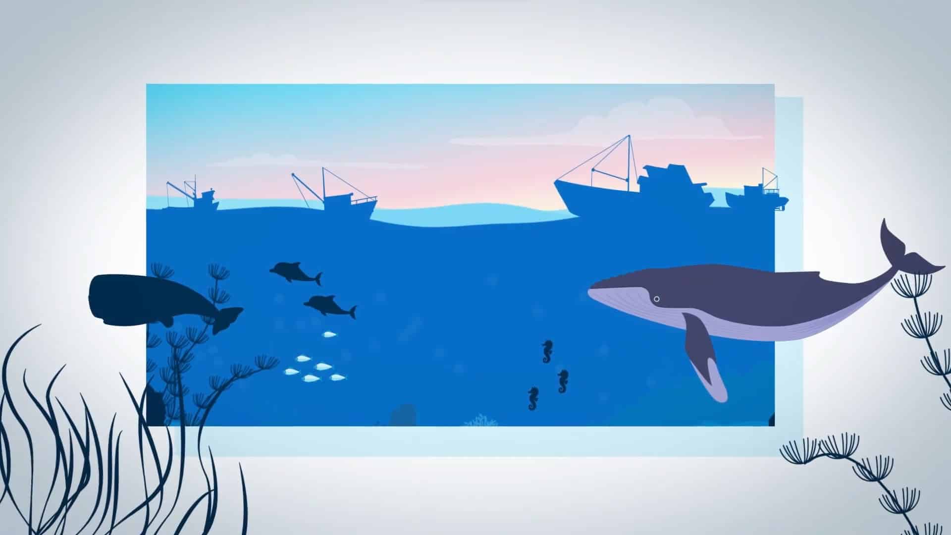 Video animato per la formazione - CORMA - Serie di Video per la sensibilizzazione in merito al progetto CORMA - Anno di produzione 2021